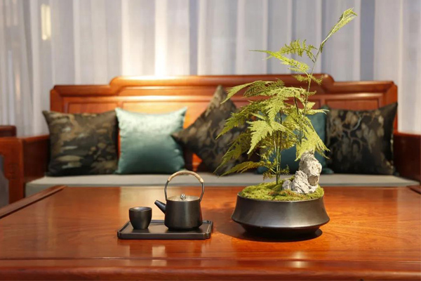 雅宋紅木