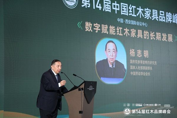 國務(wù)院參事室特邀研究員、國家人社部原副部長、中國勞動學(xué)會會長楊志明發(fā)表演講